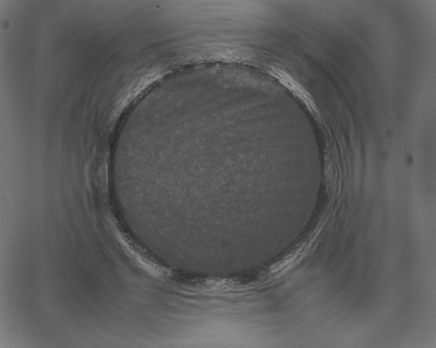 X0000067850493200604271649