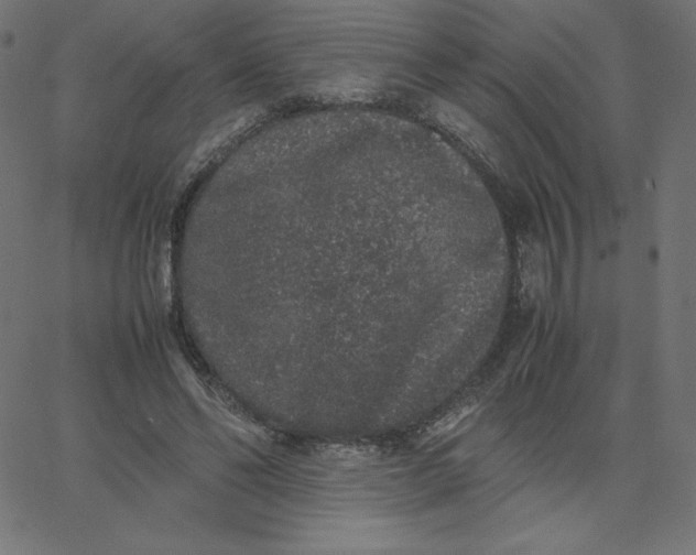 X0000067850494200604271649