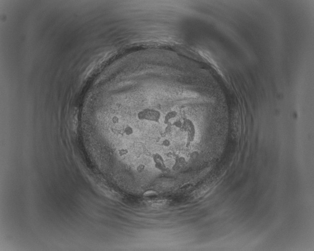 X0000067850495200604271649