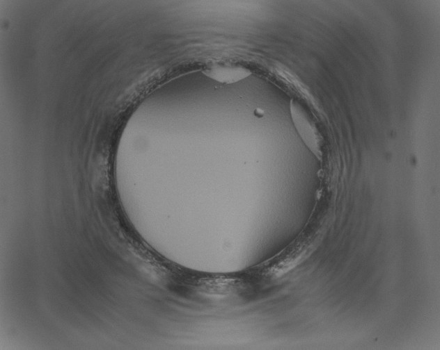 X0000067850497200604271648