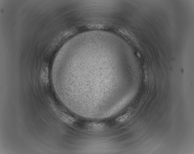 X0000067850498200604271648