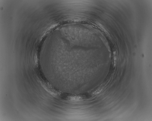 X0000067850500200604271648