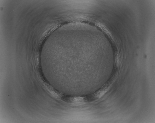 X0000067850501200604271648