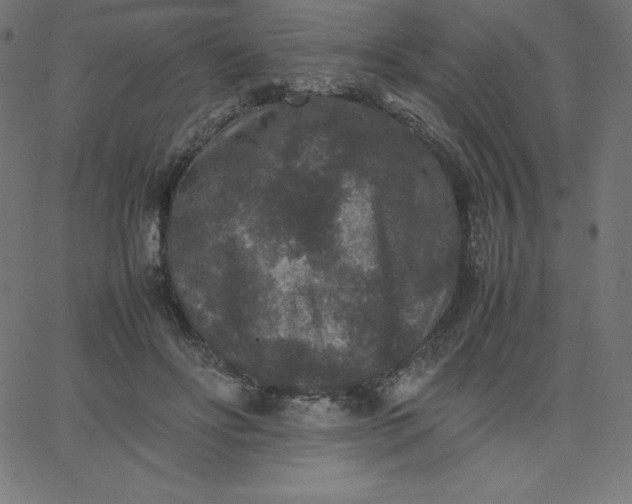 X0000067850502200604271648