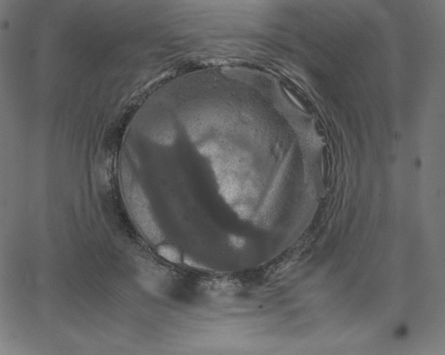 X0000067850503200604271648