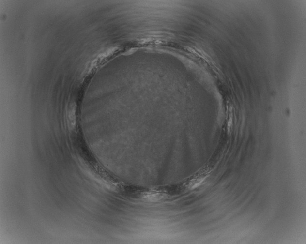 X0000067850504200604271648