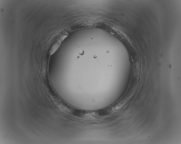 X0000067850505200604271648