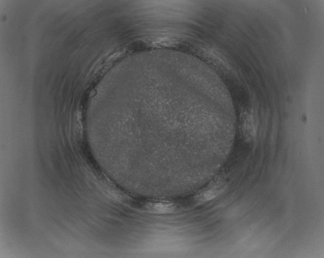 X0000067850506200604271648