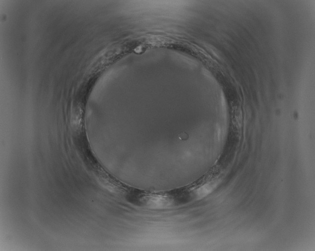 X0000067850507200604271648