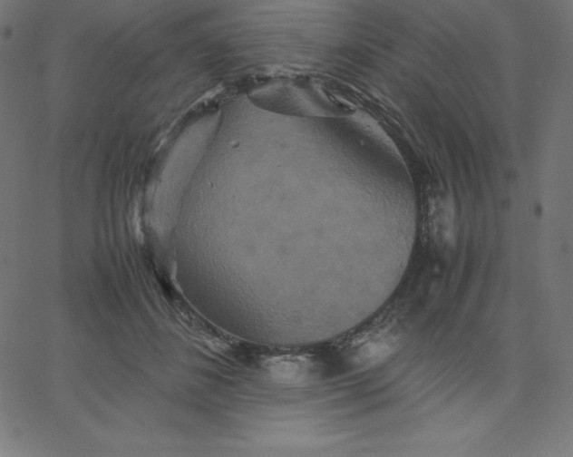 X0000067850508200604271648