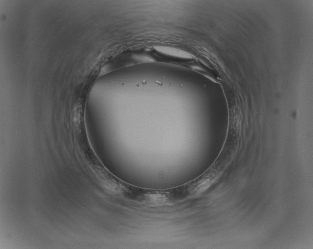 X0000067850509200604271648