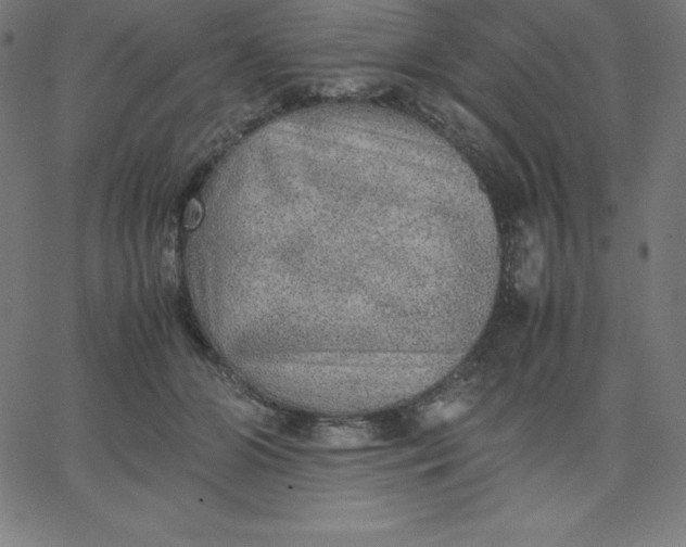 X0000067850510200604271648