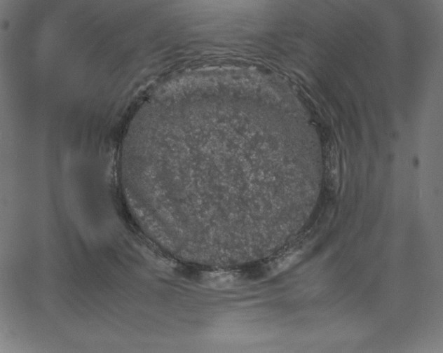 X0000067850511200604271648