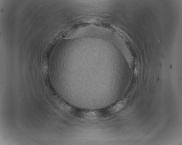 X0000067850513200604271648