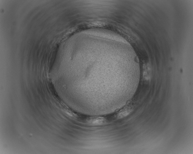 X0000067850514200604271648