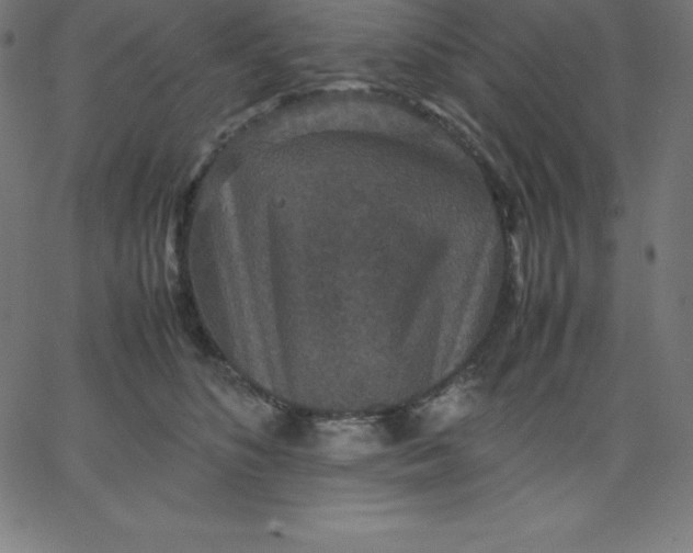 X0000067850516200604271648