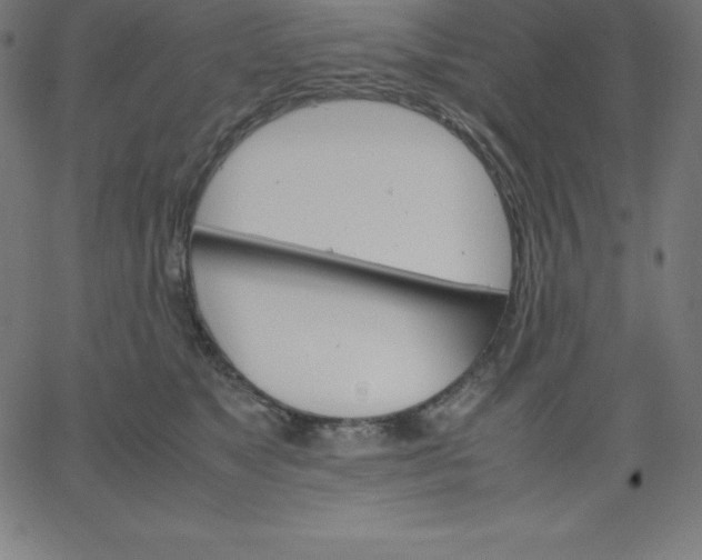 X0000067850517200604271648