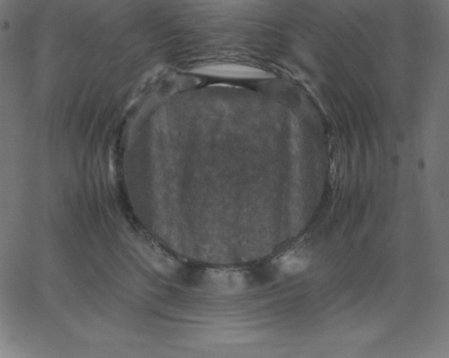 X0000067850520200604271648