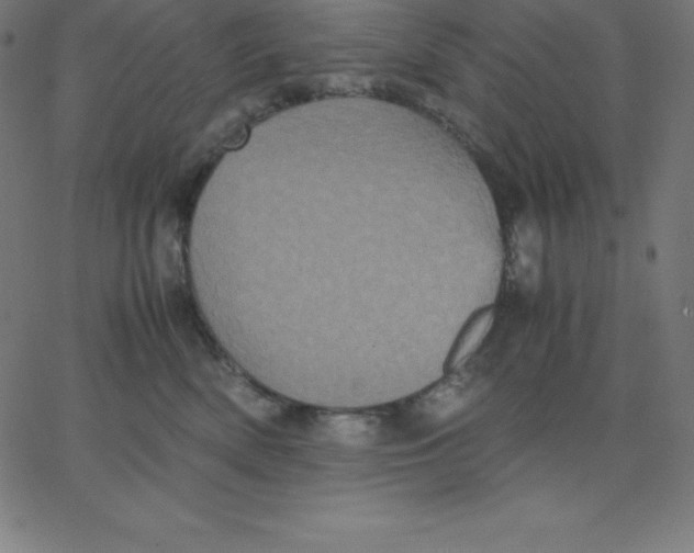 X0000067850522200604271648