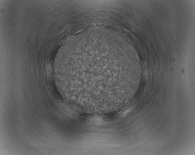 X0000067850523200604271648