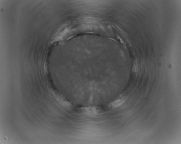 X0000067850524200604271648