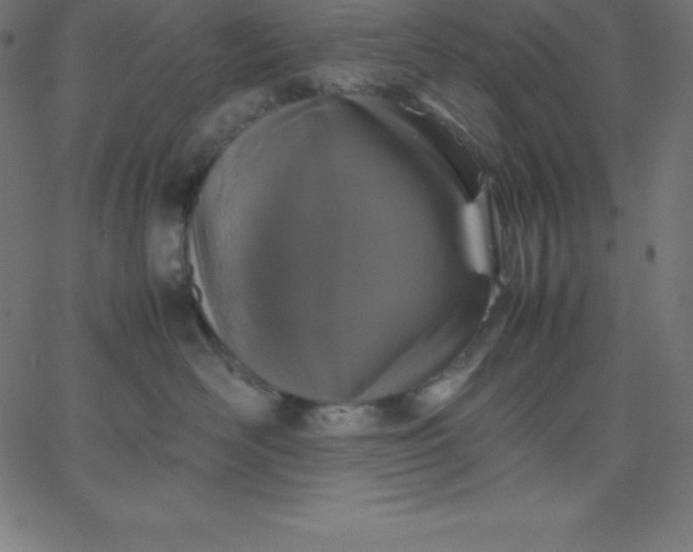 X0000067850526200604271648