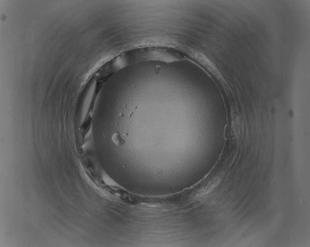 X0000067850530200604271647