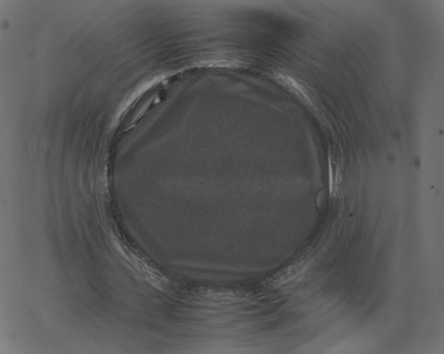 X0000067850531200604271647