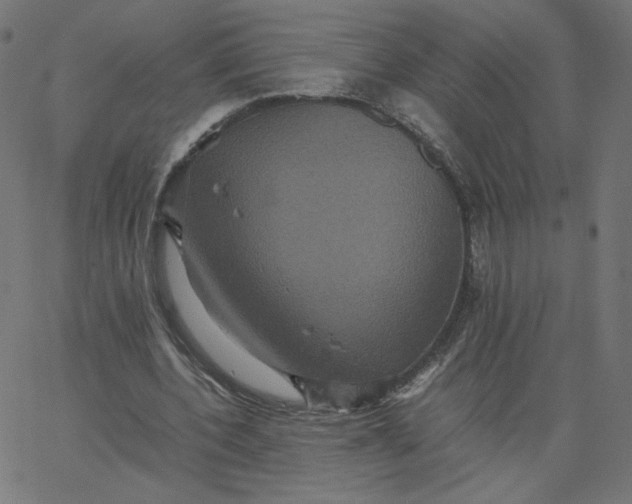 X0000067850532200604271647