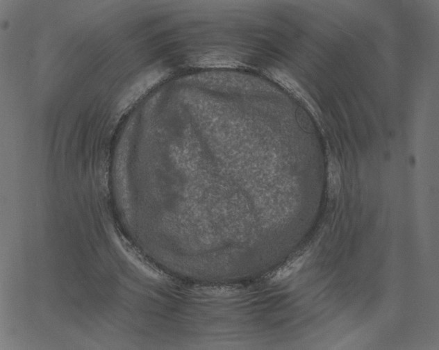 X0000067850533200604271647