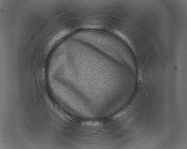 X0000067850535200604271647