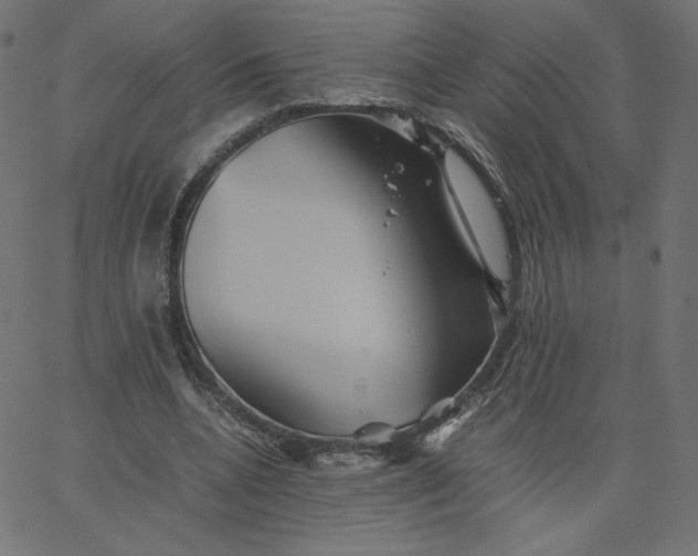 X0000067850536200604271647