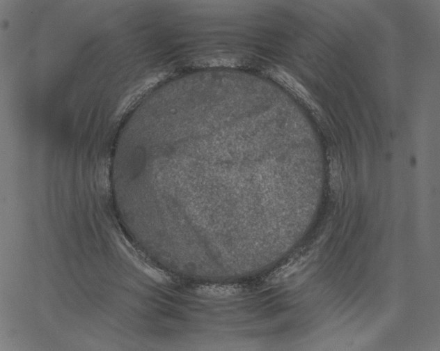 X0000067850537200604271647