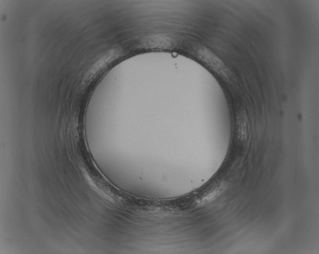 X0000067850538200604271647