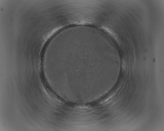 X0000067850540200604271647