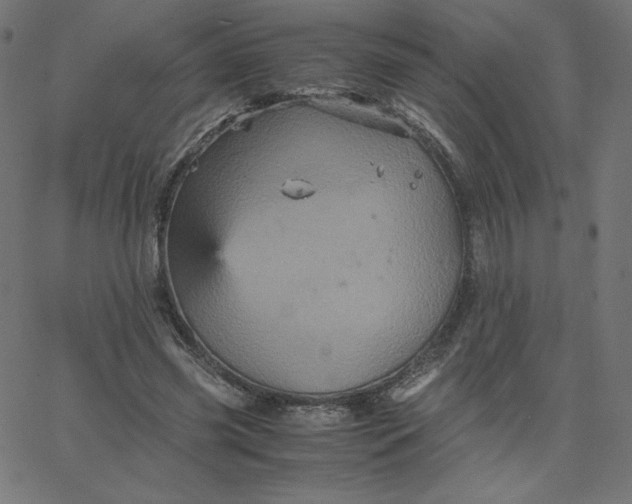 X0000067850541200604271647