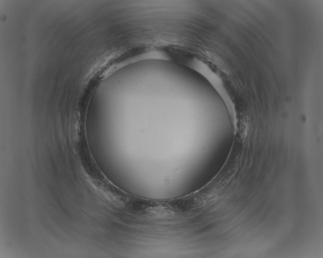 X0000067850544200604271647