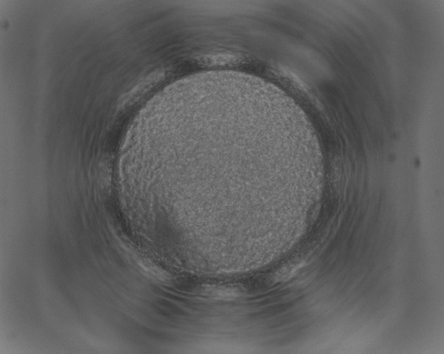 X0000067850545200604271647