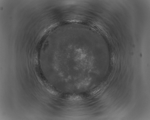 X0000067850547200604271647