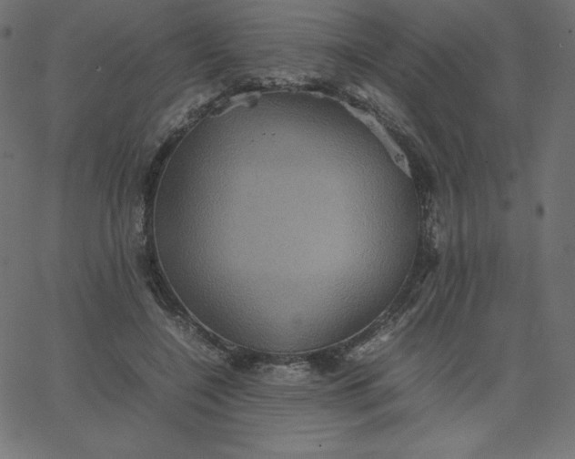 X0000067850548200604271647