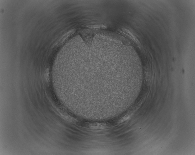 X0000067850549200604271648