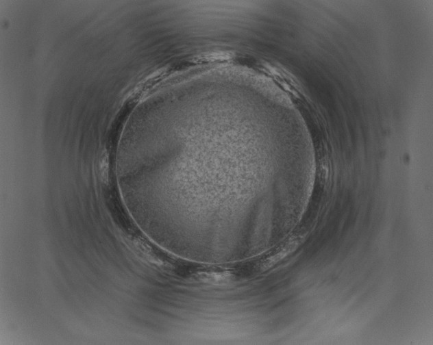 X0000067850552200604271648