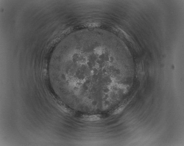 X0000067850553200604271648