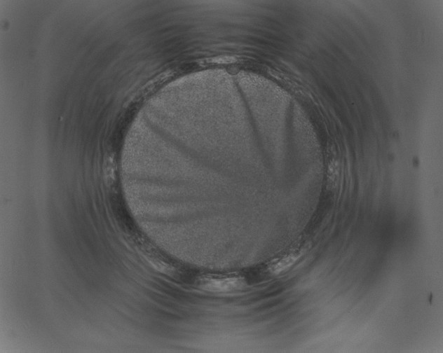 X0000067850555200604271648