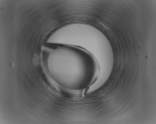 X0000067850556200604271648