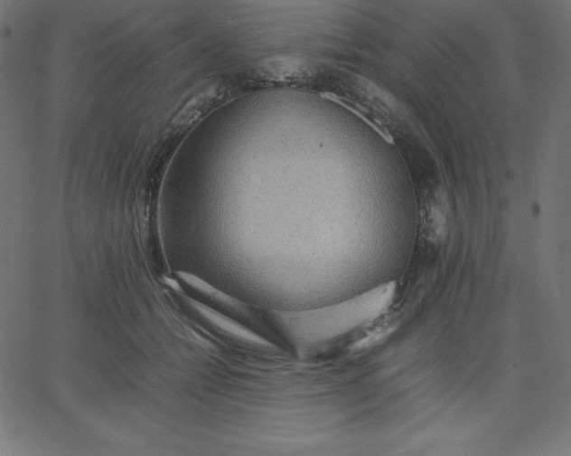 X0000067850558200604271648