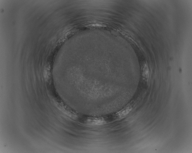 X0000067850559200604271648