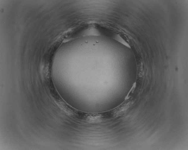 X0000067850560200604271648