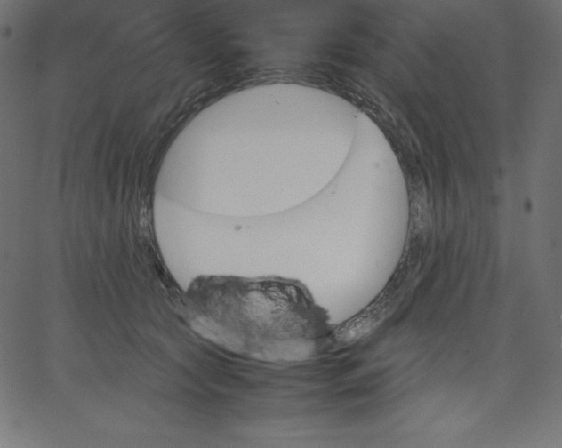 X0000067850561200604271648