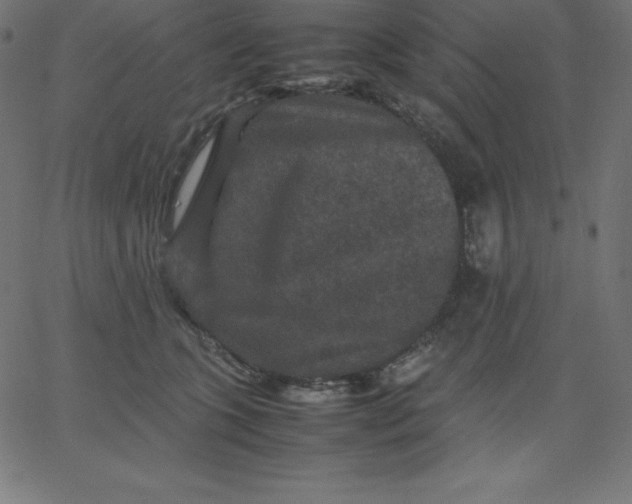 X0000067850563200604271648